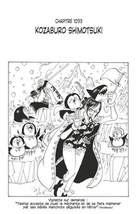One Piece édition originale - Chapitre 1033