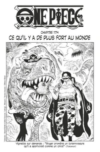 One Piece édition originale - Chapitre 1174