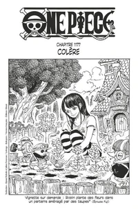 One Piece édition originale - Chapitre 1177