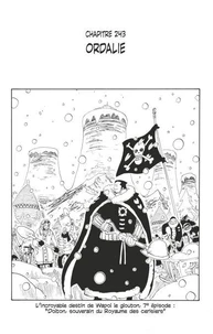 One Piece édition originale - Chapitre 243