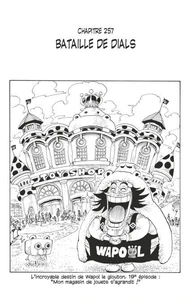 One Piece édition originale - Chapitre 257