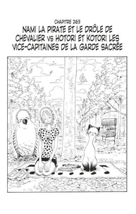 One Piece édition originale - Chapitre 263