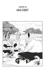 One Piece édition originale - Chapitre 313