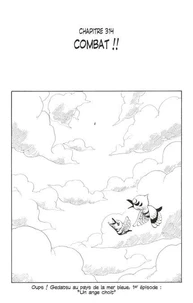 One Piece édition originale - Chapitre 314