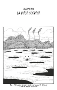 One Piece édition originale - Chapitre 315