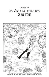 One Piece édition originale - Chapitre 735