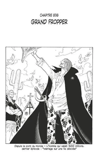 One Piece édition originale - Chapitre 838