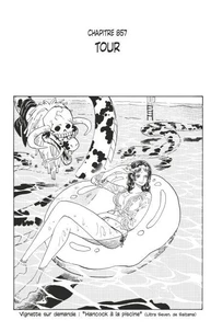 One Piece édition originale - Chapitre 857