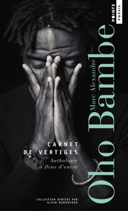 Carnet de vertiges