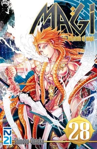 Magi Tome 28