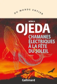 Chamanes électriques à la fête du Soleil