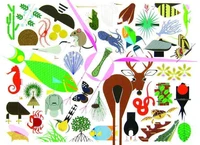 Charley Harper's Animal Kingdom : Popular Edition