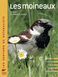 Les moineaux