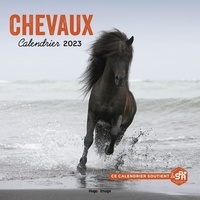 Olivia Debarge - Calendrier Chevaux.