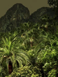 Jungles