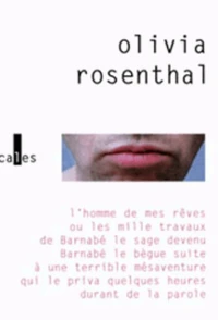 L'Homme De Mes Reves Ou Les Mille Travaux De Barnabe Le Sage Devenu Barnabe Le Begue Suite A Une Terrible Mesaventure Qui Le Priva Quelques Heures Durant De La Parole