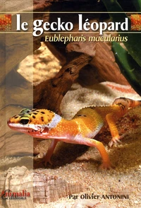 Le gecko léopard