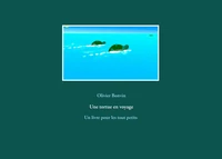 Une tortue en voyage