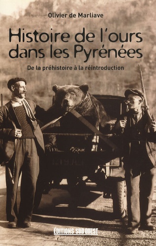 Histoire de l'ours dans les Pyrénées. De la préhistoire à la réintroduction