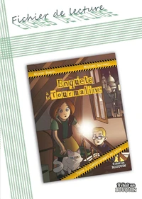 Fichier de lecture La Tourmaline tome 1 : Cambriolages en série