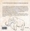 La découverte du geste d’urgence au temps des mammouths (roman illustré)