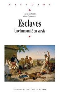 Téléchargez des manuels gratuits en ligneEsclaves  - Une humanité en sursis9782753568600 (Litterature Francaise) parOlivier Grenouilleau 