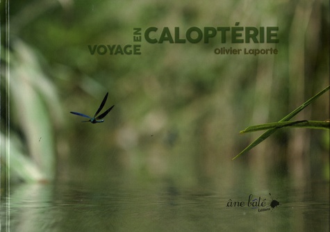Olivier Laporte - Voyage en Caloptérie.