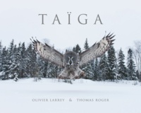 Olivier Larrey - Taiga.