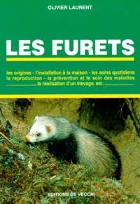 Les furets