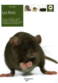 Olivier Laurent - Les rats.