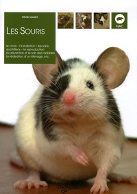 Olivier Laurent - Les souris.