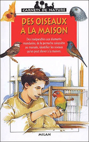 Olivier Lhote - Des Oiseaux A La Maison.