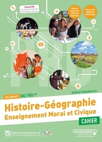 Olivier Lopez et Thomas Doublier - Histoire Géographie + Enseignement moral et civiqueTle Bac pro - Cahier d'activités.