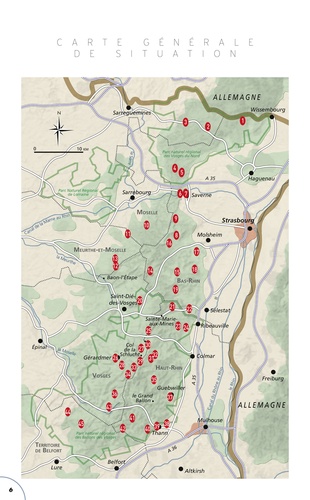 Vosges. 90 randonnées à pieds et à VTT