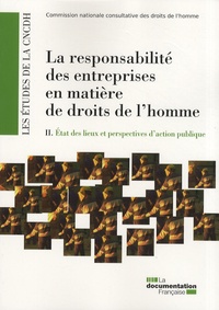 Olivier Maurel - La responsabilité des entreprises en matière de droits de l'homme - Tome 2, Etat des lieux et perspectives d'action publique.