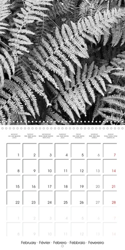 CALVENDO Nature  FORMES VÉGÉTALES (Calendrier mural 2021 300 × 300 mm Square). Une série de photographies qui met en valeur les richesses des formes végétales produites dans la nature. (Calendrier mensuel, 14 Pages )