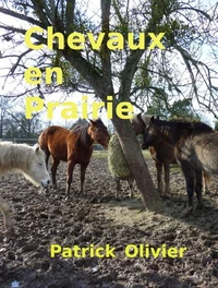 Chevaux en Prairie