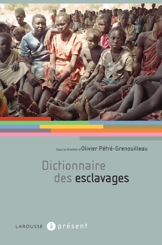 Olivier Pétré-Grenouilleau - Dictionnaire des esclavages.