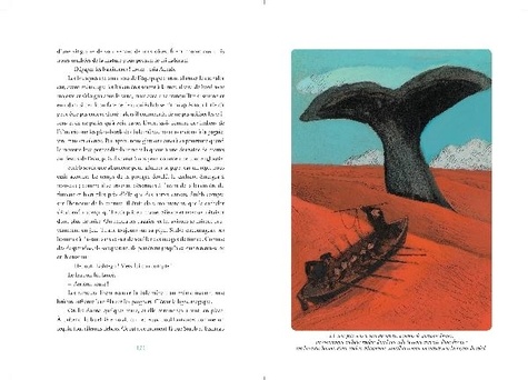 Moby Dick  Texte abrégé