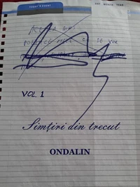 Simțiri din trecut - Vol. 1