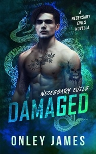  Onley James - Damaged - Necessary Evils, #3.5.