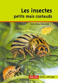  OPIE Poitou-Charentes - Les insectes petits mais costauds.