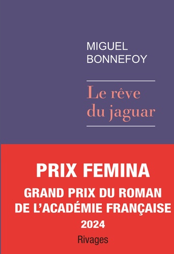couverture de : Le r&ecirc;ve du jaguar