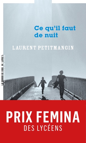 Ce qu'il faut de nuit / Laurent Petitmangin | Petitmangin, Laurent. Auteur