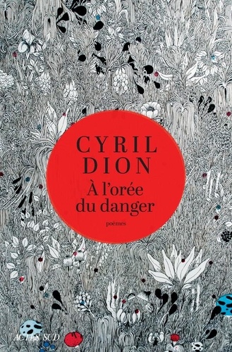 couverture de : A l'or&eacute;e du danger