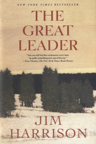 The Great Leader - A Faux Mystery