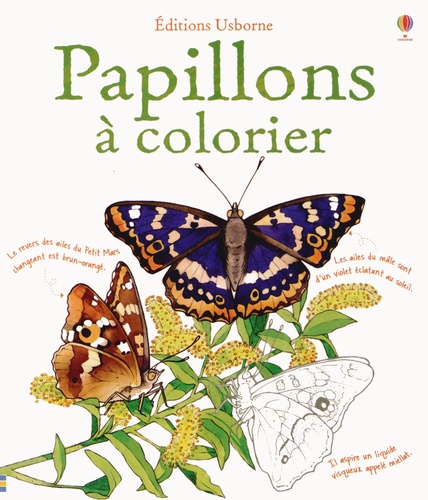 Papillons À Colorier