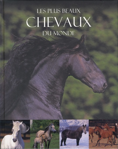 Les Plus Beaux Chevaux Du Monde