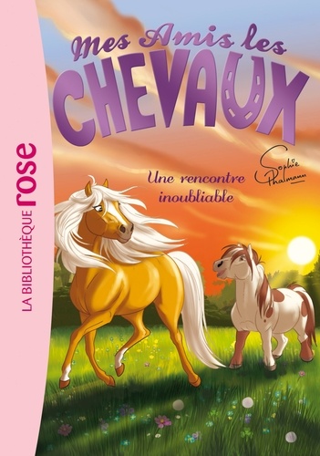 Mes Amis Les Chevaux - Tome 6 - Une Rencontre Inoubliable