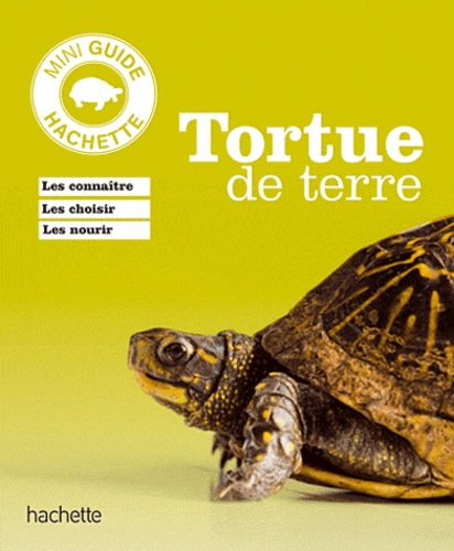 Tortues De Terre